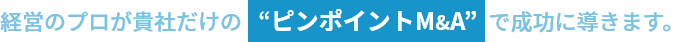 経営のプロが貴社だけの“ピンポイントM&A”  で成功に導きます。